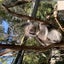 留学生　Nのサムネイル