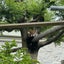 mooのサムネイル