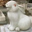 Akaoriのサムネイル