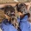 with2kidsのサムネイル