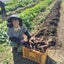 画像 風の時代を活きるのユーザープロフィール画像