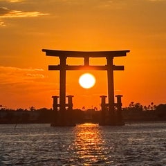SHINのプロフィール