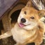 みぃやのサムネイル