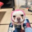 baskepapatyのサムネイル