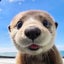 Gakusyuuのサムネイル
