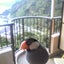 メグのサムネイル