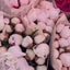 mommy♡のサムネイル