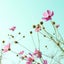 画像 となりで  |  40代で脳出血 障害を持った夫のユーザープロフィール画像