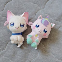 shのプロフィール