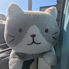 mitoka62のプロフィール