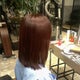 SAKE好きの居酒屋のサムネイル