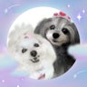 まみもものプロフィール