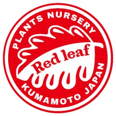 Red leaf(レッドリーフ)のプロフィール