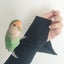 nokaのサムネイル
