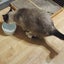 ar22のサムネイル