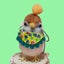 cocoムクドリ(ここむくどり)のサムネイル