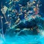 さとはるのサムネイル