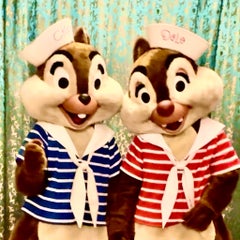 Ally のプロフィール
