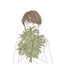 日向（ひむか）のサムネイル