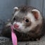 あきらのサムネイル