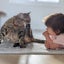 おりーぶのサムネイル
