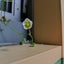 ナース咲良のサムネイル