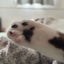きまぐれに綴る。モノ。コト。のサムネイル