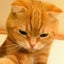 れも猫💕れもんバームクーヘンのサムネイル