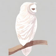 AYAのおすすめのサムネイル
