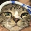 平凡なパパのサムネイル