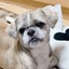 ホビ子のサムネイル