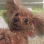meeeeeeeicandyのサムネイル