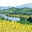 ふるさと納税／返礼品紹介のサムネイル
