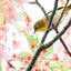 - うちゃんの東京生活奮闘記 -のサムネイル