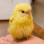 画像 meiのブログのユーザープロフィール画像