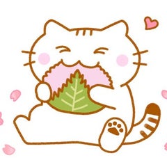 さくらもちのプロフィール