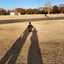 画像 ４０代出産ワーママのフツーな家事育児備忘録のユーザープロフィール画像