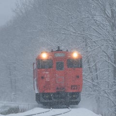 気まぐれ大学生のプロフィール
