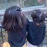 まこっぴのプロフィール