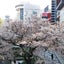 画像 gidolla0221のブログのユーザープロフィール画像
