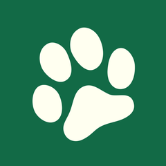 GoDoggy のプロフィール