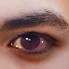 野々草人のプロフィール