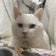 新・あったかさぁブログ