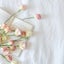 rose05270714のサムネイル
