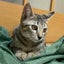 画像 せっかちだからこそノンビリしたいのユーザープロフィール画像