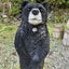 たかびとのサムネイル
