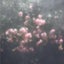 𝐓𝐢𝐧𝐚ㅤのサムネイル