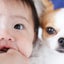 mashi082395のサムネイル