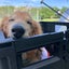 ちよまるのサムネイル