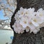 画像 気ままに綴る日記だよのユーザープロフィール画像